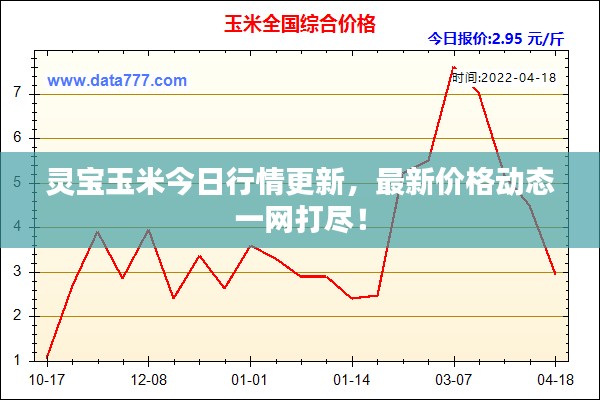 靈寶玉米今日行情更新，最新價(jià)格動(dòng)態(tài)一網(wǎng)打盡！
