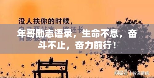 年哥勵志語錄，生命不息，奮斗不止，奮力前行！
