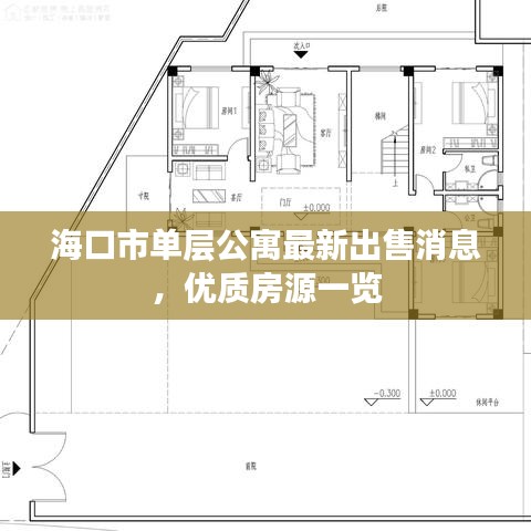 曇花一現(xiàn) 第2頁