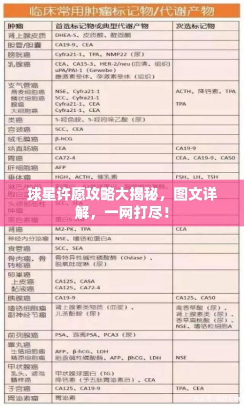 球星許愿攻略大揭秘，圖文詳解，一網(wǎng)打盡！