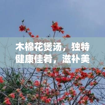木棉花煲湯，獨(dú)特健康佳肴，滋補(bǔ)美味之選
