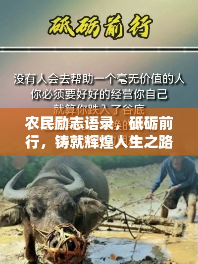 農(nóng)民勵(lì)志語錄，砥礪前行，鑄就輝煌人生之路