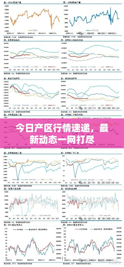 今日產(chǎn)區(qū)行情速遞，最新動態(tài)一網(wǎng)打盡