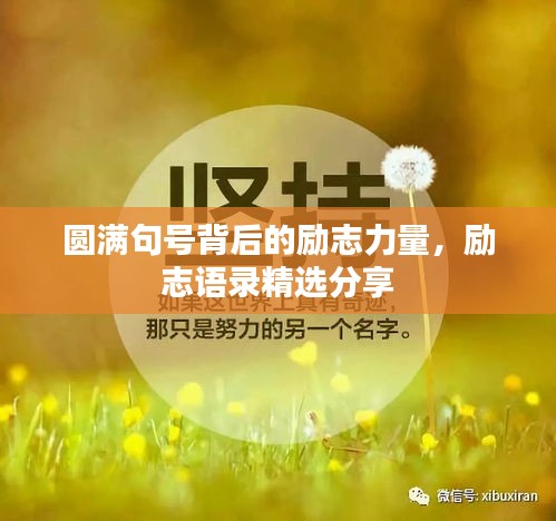 圓滿句號背后的勵(lì)志力量，勵(lì)志語錄精選分享