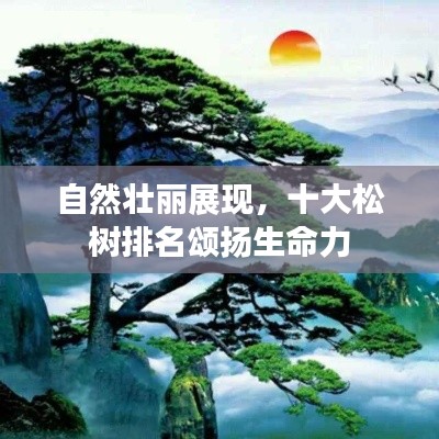 自然壯麗展現(xiàn)，十大松樹排名頌揚(yáng)生命力