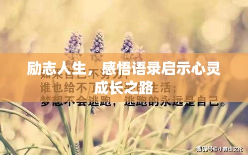 勵(lì)志人生，感悟語錄啟示心靈成長之路
