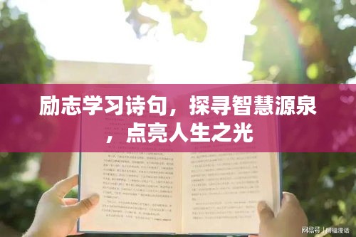 勵志學(xué)習(xí)詩句，探尋智慧源泉，點亮人生之光