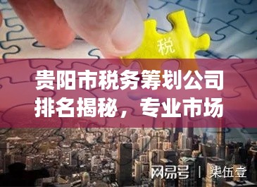 貴陽市稅務(wù)籌劃公司排名揭秘，專業(yè)市場分析助你明智選擇！