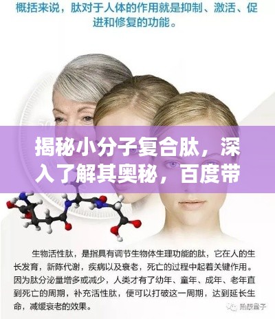 揭秘小分子復(fù)合肽，深入了解其奧秘，百度帶你洞悉真相！