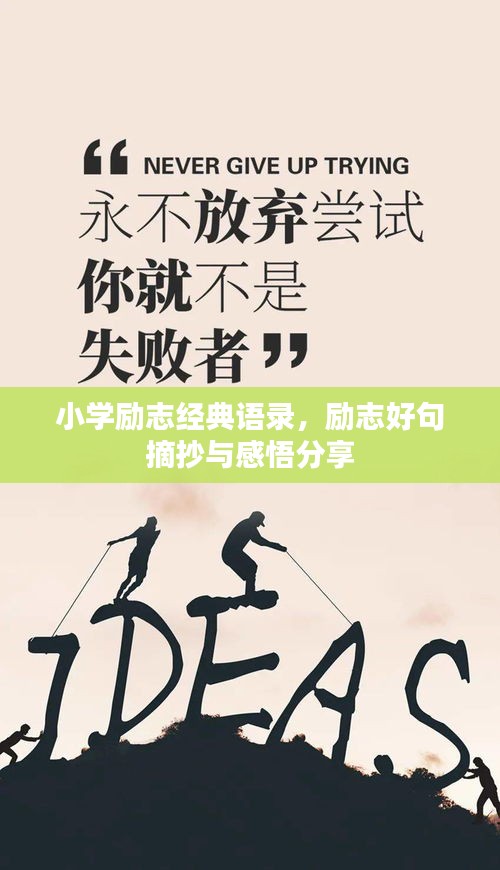 新聞動態(tài) 第198頁