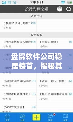 盤錦軟件公司穩(wěn)居榜首，揭秘其成功的奧秘