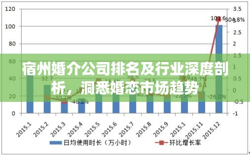 宿州婚介公司排名及行業(yè)深度剖析，洞悉婚戀市場趨勢