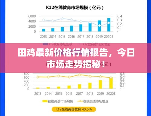 田雞最新價(jià)格行情報(bào)告，今日市場(chǎng)走勢(shì)揭秘！