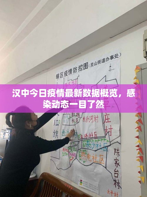 漢中今日疫情最新數(shù)據(jù)概覽，感染動態(tài)一目了然