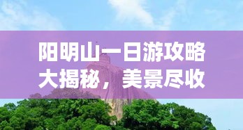 陽(yáng)明山一日游攻略大揭秘，美景盡收眼底！