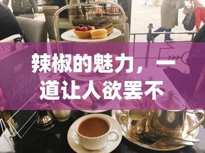 辣椒的魅力，一道讓人欲罷不能的美食探索之旅！