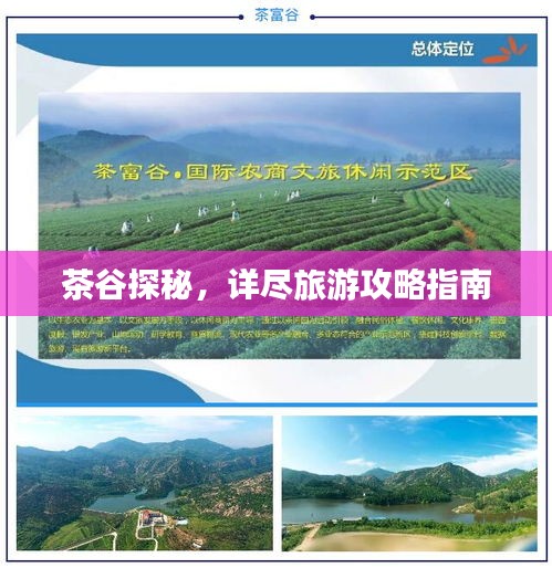 茶谷探秘，詳盡旅游攻略指南