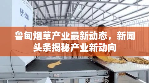 魯?shù)闊煵莓a(chǎn)業(yè)最新動(dòng)態(tài)，新聞?lì)^條揭秘產(chǎn)業(yè)新動(dòng)向