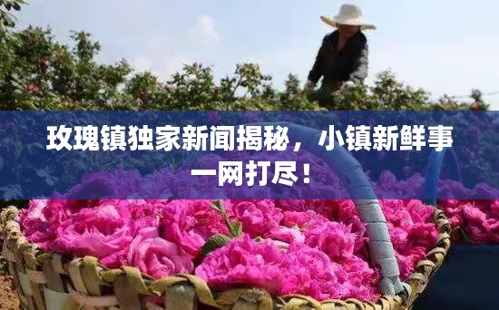 玫瑰鎮(zhèn)獨家新聞揭秘，小鎮(zhèn)新鮮事一網(wǎng)打盡！
