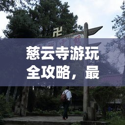 慈云寺游玩全攻略，最新路線一網(wǎng)打盡！