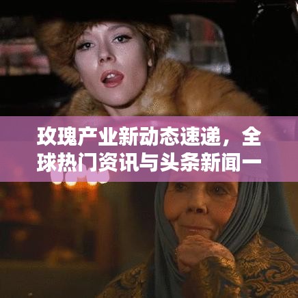 玫瑰產(chǎn)業(yè)新動態(tài)速遞，全球熱門資訊與頭條新聞一網(wǎng)打盡