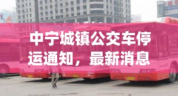 中寧城鎮(zhèn)公交車停運(yùn)通知，最新消息及影響分析