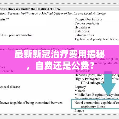 最新新冠治療費用揭秘，自費還是公費？