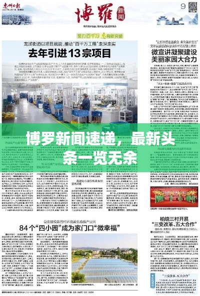 博羅新聞速遞，最新頭條一覽無余