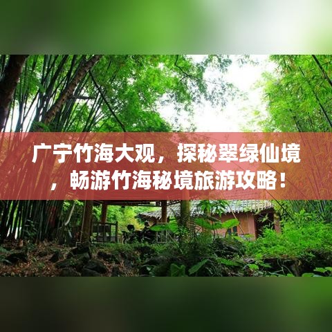廣寧竹海大觀，探秘翠綠仙境，暢游竹海秘境旅游攻略！