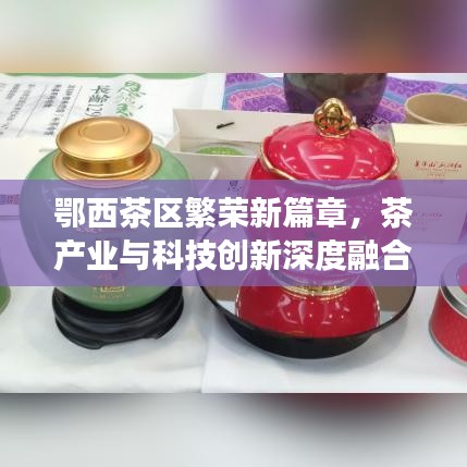 鄂西茶區(qū)繁榮新篇章，茶產(chǎn)業(yè)與科技創(chuàng)新深度融合引領(lǐng)發(fā)展之路