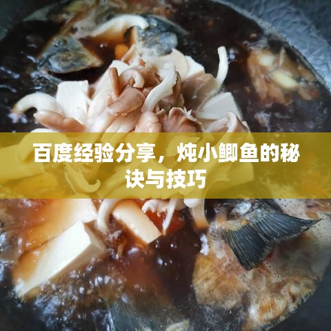 百度經(jīng)驗分享，燉小鯽魚的秘訣與技巧