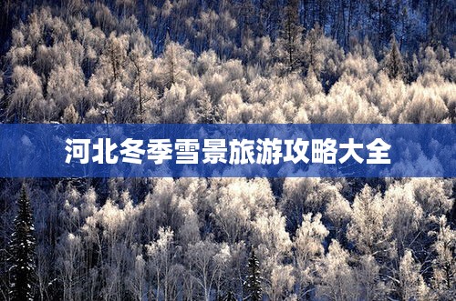 了解鹿瓷 第188頁
