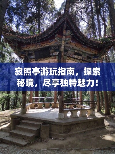 寂照亭游玩指南，探索秘境，盡享獨特魅力！