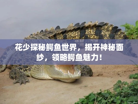 花少探秘鱷魚(yú)世界，揭開(kāi)神秘面紗，領(lǐng)略鱷魚(yú)魅力！