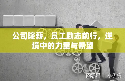 公司降薪，員工勵志前行，逆境中的力量與希望