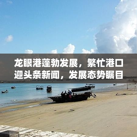 龍眼港蓬勃發(fā)展，繁忙港口迎頭條新聞，發(fā)展態(tài)勢矚目