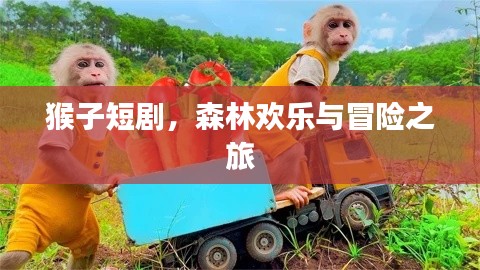 猴子短劇，森林歡樂與冒險之旅