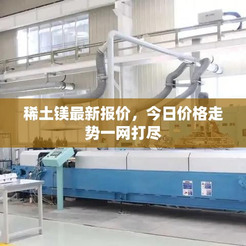 稀土鎂最新報價，今日價格走勢一網(wǎng)打盡