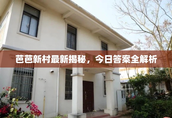 芭芭新村最新揭秘，今日答案全解析
