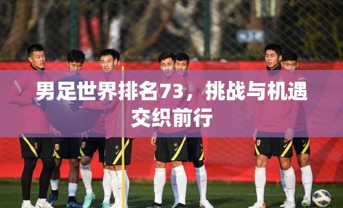 男足世界排名73，挑戰(zhàn)與機遇交織前行