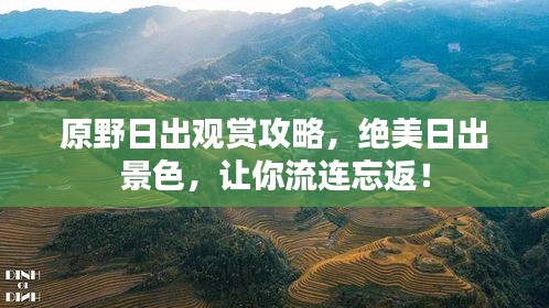原野日出觀賞攻略，絕美日出景色，讓你流連忘返！