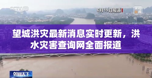 望城洪災最新消息實時更新，洪水災害查詢網全面報道