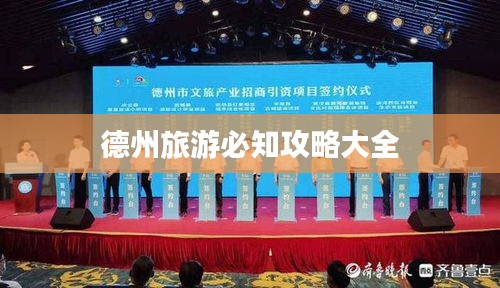 飛揚(yáng)撥扈 第2頁
