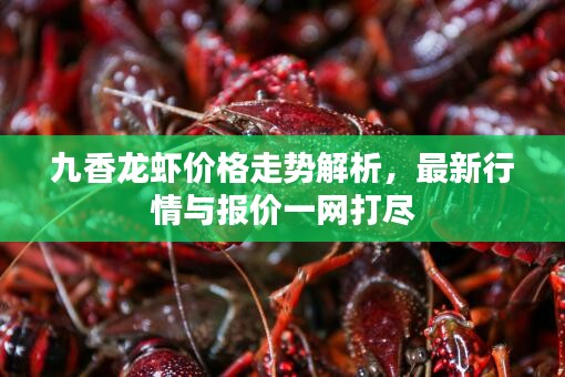 九香龍蝦價格走勢解析，最新行情與報價一網打盡
