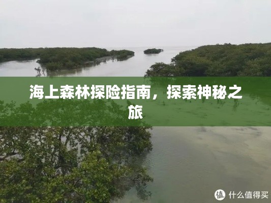 海上森林探險指南，探索神秘之旅