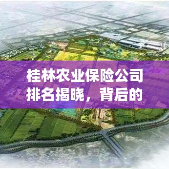 桂林農(nóng)業(yè)保險公司排名揭曉，背后的故事引人關(guān)注