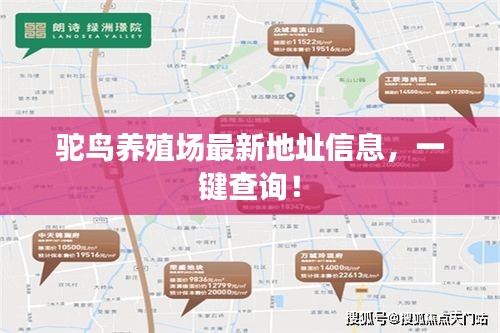 駝鳥(niǎo)養(yǎng)殖場(chǎng)最新地址信息，一鍵查詢(xún)！