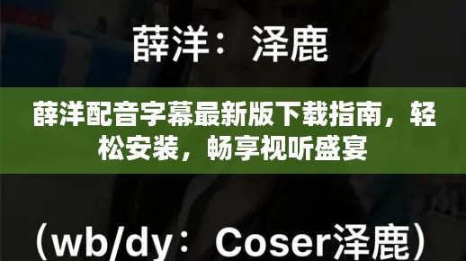 薛洋配音字幕最新版下載指南，輕松安裝，暢享視聽盛宴