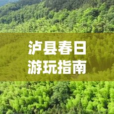 瀘縣春日游玩指南，探索春光美景，盡享愜意之旅！