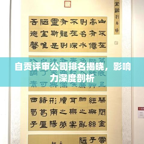 自貢評(píng)審公司排名揭曉，影響力深度剖析